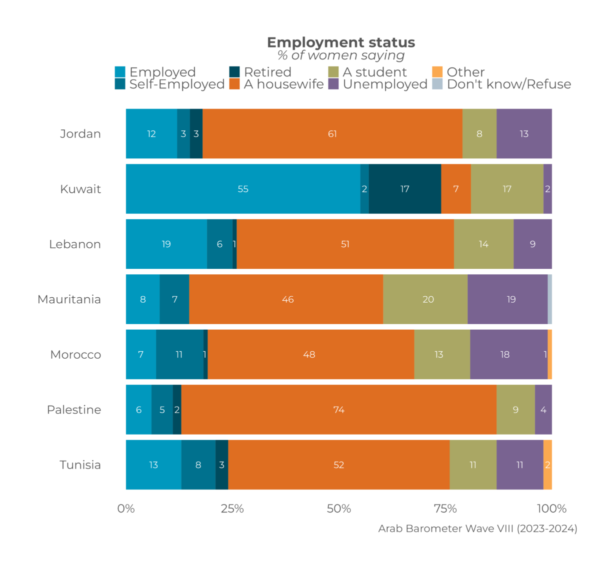 Gender Attitudes and Trends in MENA: the Effects of Working Women (2023-2024)