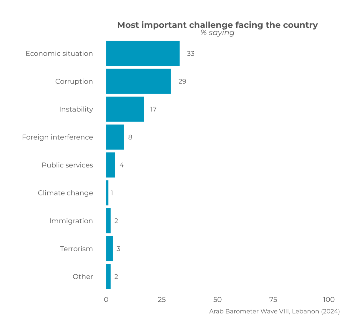 Lebanon: Public Opinion Report 2024