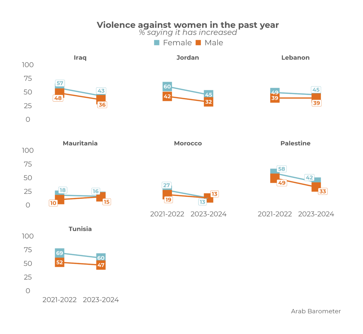 Gender-Based Violence and Sources of Support in the Middle East and North Africa (2023-2024)